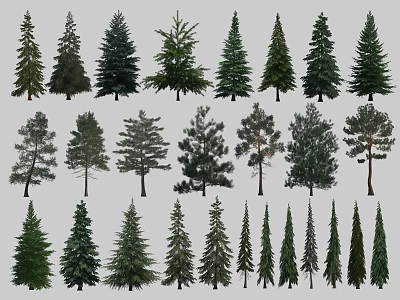 Various Evergreen and Deciduous Tree Species for Landscape and Garden Design 3d model
