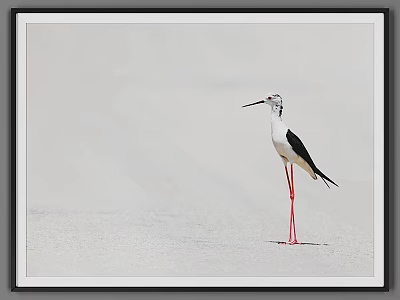 Abstract Painting Of Black And White Red Legged Bird On Light Background In Black Frame 3d model