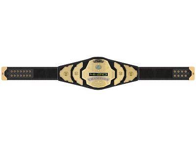 Detailed Classic Championship Belt With Black Strap And Gold Decorative Accents 3d model