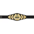 Detailed Classic Championship Belt With Black Strap And Gold Decorative Accents