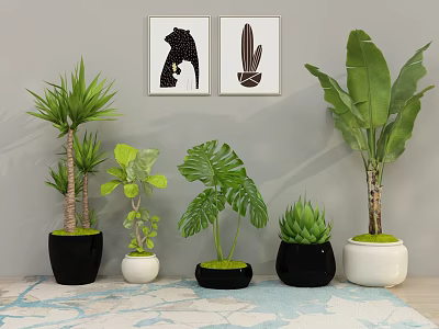 Bonsai Potted Plants Various Types in Black and White Pots Indoor Home Decor 3d model
