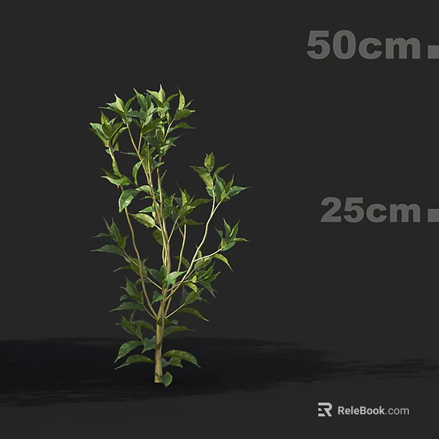 Small Tree With Green Leaves And Branches Measuring 25cm Height 3d model