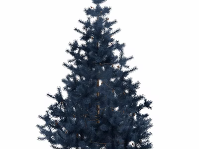 Dark Blue Evergreen Tree With Lush Branches And Dense Foliage Structure 3d model