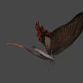 Game Movie Character Butterfly with Black Orange Wing Patterns and Detailed Design