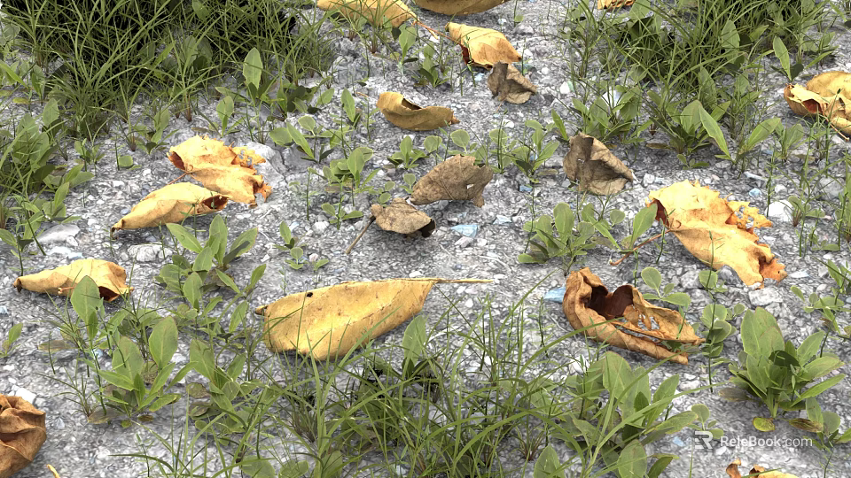 Natural Garden Decor With Yellow Autumn Leaves And Green Grass On Gravel Ground 3d model 