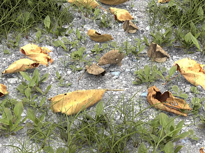 modern fallen leaves 3d model modern fallen leaves 3d model