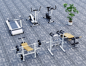 Fitness equipment carpet green plant combination 3d model