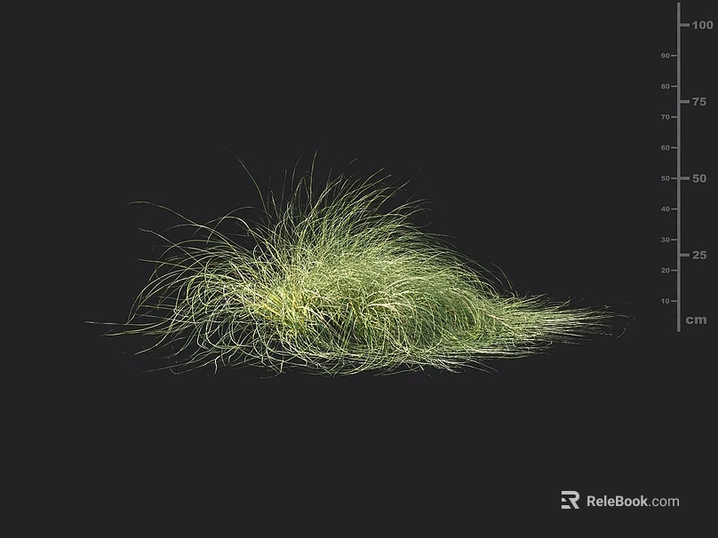 Green Grass Cluster With Black Background And Measurement Scale Showing Height 3d model