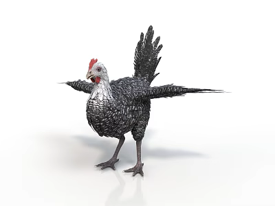 Black and white chicken with red comb spread wings standing on white background 3d model