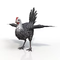 Black and white chicken with red comb spread wings standing on white background 3d model