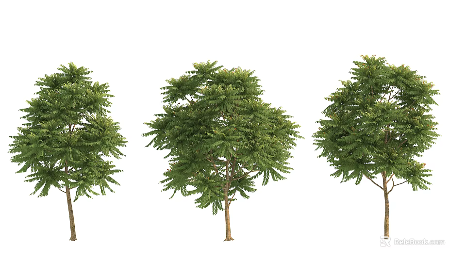 Three Arbor Trees With Lush Green Foliage And Varied Crown Shapes 3d model 