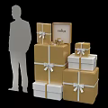 Elegant CARINA Lifestyle Gift Boxes with Gold White Design Ribbons and Person Silhouette