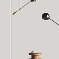 Modern Black Floor Lamp With Adjustable Arm And Spherical Shade 3d model