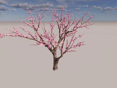 Pink Flowering Arbor With Beautiful Blossoms Blue Sky And White Clouds 3d model