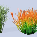 Garden Shrubs Featuring Green Slender Branches And Orange Green Dense Foliage