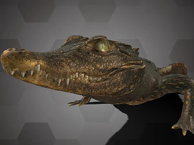 Realistic Crocodile Figure With Green Eyes Sharp Teeth And Scaly Skin On Hexagonal Background 3d model