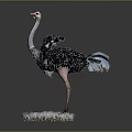 Realistic Ostrich Model With Spread Wings Standing On Grass Base Dark Background 3d model