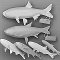 Fresh Aquatic Animals Showcasing Bighead Carp and Silver Carp in Different Sizes