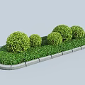 Trimmed Round Shrubs In Garden Landscape With Lawn Grass And Stone Edging