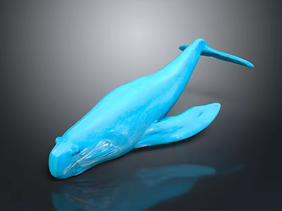 Blue Whale Model Showing Organs And Hair Texture On Black Reflective Surface 3d model