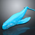 Blue Whale Model Showing Organs And Hair Texture On Black Reflective Surface