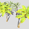Green and Yellow Leafy Palm and Banana Trees with Light Colored Trunks in Gray Background