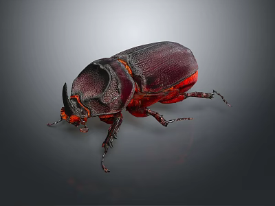 Horned Shiny Dark Purple Beetle With Red Accents On Gray Background 3d model