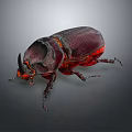 Horned Shiny Dark Purple Beetle With Red Accents On Gray Background