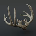 Natural Deer Antler Decorative Wall Mounted Art For Home Decor