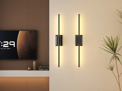 Modern Sleek Linear Wall Lights Illuminating Living Room With TV Background And Green Plant 3d model