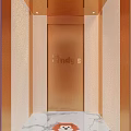 Elevator Interior With Yellow Walls Blue Panel And Cartoon Lion Circular Pattern Design 3d model