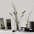 Decorative Ornament Set With Books Glass Vase Dried Plants Ceramic Cups And Tray
