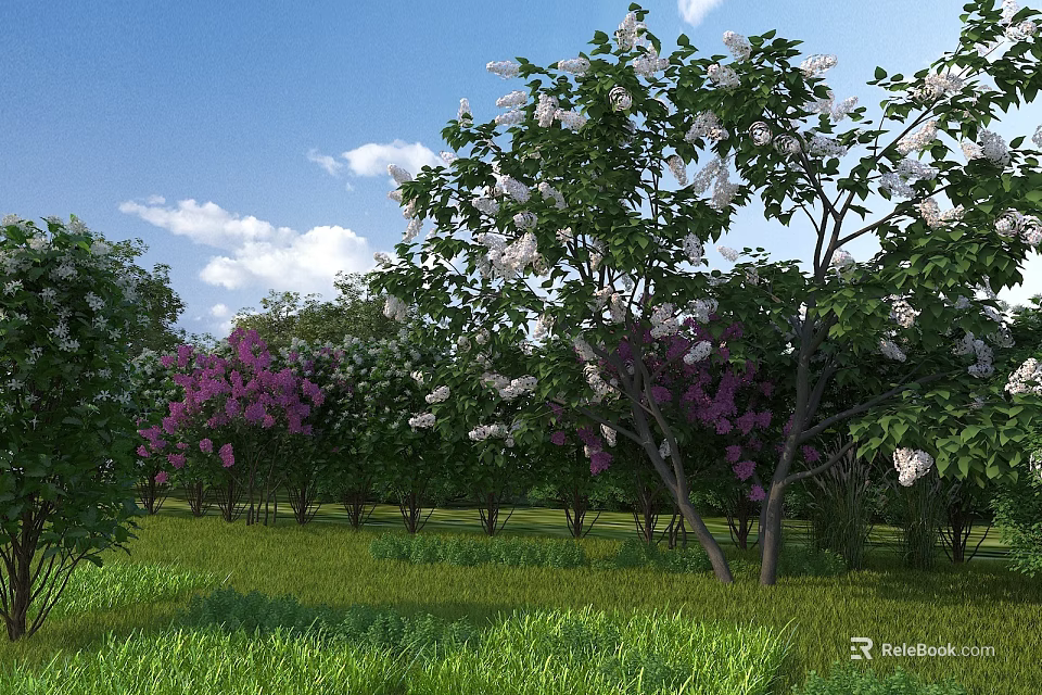 Garden Landscape With Green Grass Flowering Trees White Purple Blooms Blue Sky And White Clouds 3d model 