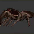 Realistic Spider With Brown Body Red Black Head And Green Orange Legs