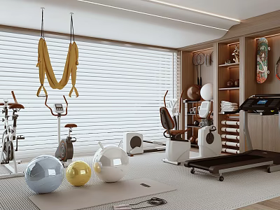 Modern Recreation Room Interior With Exercise Bikes Treadmill Yoga Balls And Hammock 3d model