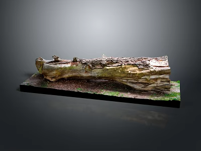 Rustic Wooden Log Decor On Stone Base With Natural Moss And Soil 3d model
