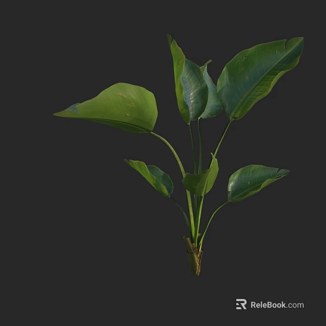 Lush Green Leafy Plant With Large Fresh Leaves In Natural Setting 3d model 