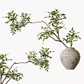 Gray Clay Pot Vase With Multiple Forked Green Leafy Branches Natural Rustic Decor 3d model