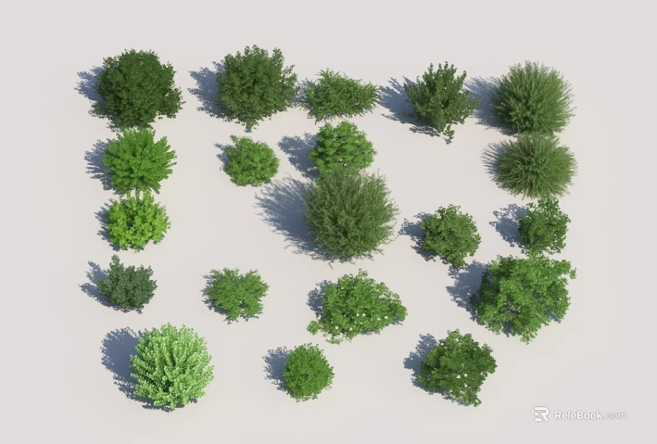 Various Green Shrubs with Lush Foliage and Different Shapes for Garden Landscaping 3d model 