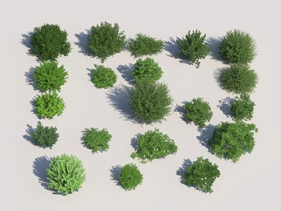 Various Green Shrubs with Lush Foliage and Different Shapes for Garden Landscaping 3d model
