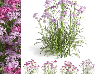 Decorative Ornament Set with Purple Pink Flowers and Green Stems for Home Decor 3d model