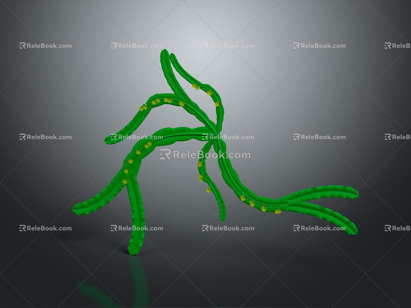 eukaryotic cell cross section cell cell structure cell tissue anatomy organ human organ 3d model