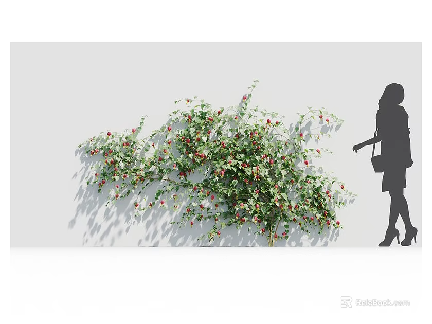 Lush Bush With Red Berries Growing Against White Wall Beside Woman Silhouette 3d model 