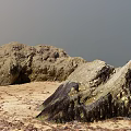 Large Stone Formations With Dark Seaweed And Wooden Accents On Sandy Coastal Terrain