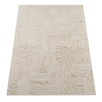 Modern Square Carpet 3d model