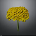 Vibrant Yellow Marigold Flower With Layered Petals And Green Stem On Dark Background
