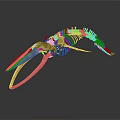 Detailed Whale Skeleton Showing Organ Structure Isolated on Dark Background