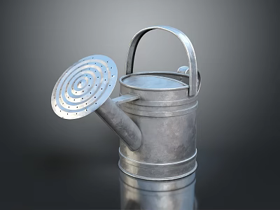 Metal Watering Can With Perforated Lid And Shiny Surface For Garden Use 3d model