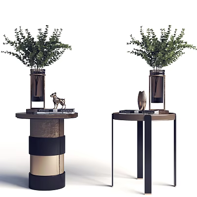 Modern Round Side Tables with Green Plants Vases Decorative Figurines and Books 3d model
