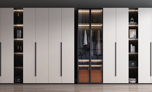 Modern wardrobe combination 3d model